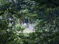 DSC04811